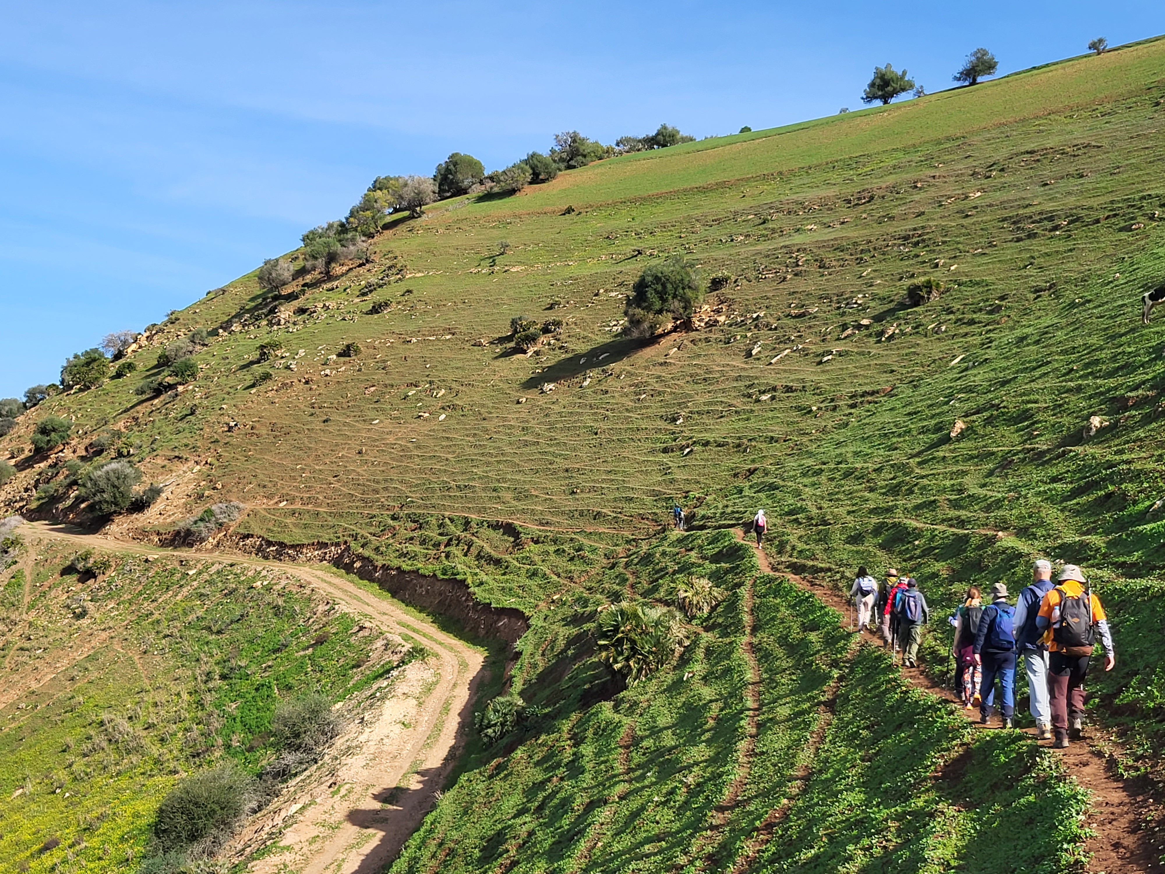 Entraînement d'escalade